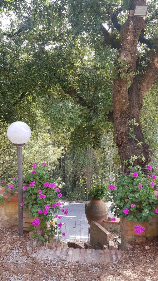 Casa Bruna - Cipresseta Del Chianti Castellina in Chianti Exteriér fotografie